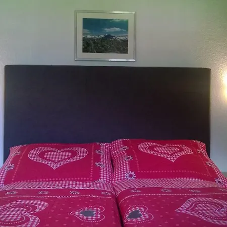 Dağ evi Chalet Zillertal Mayrhofen