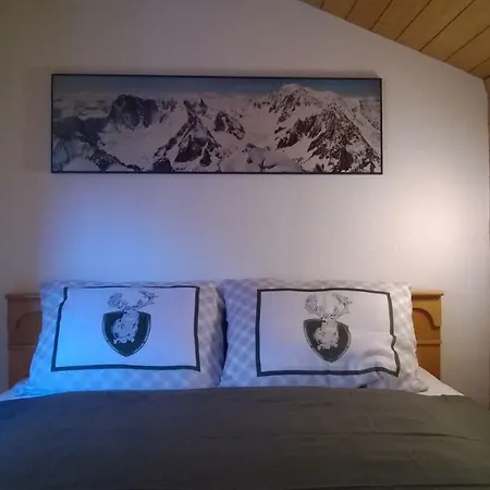 Chalet Zillertal Dağ evi