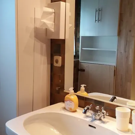Chalet Zillertal Dağ evi *